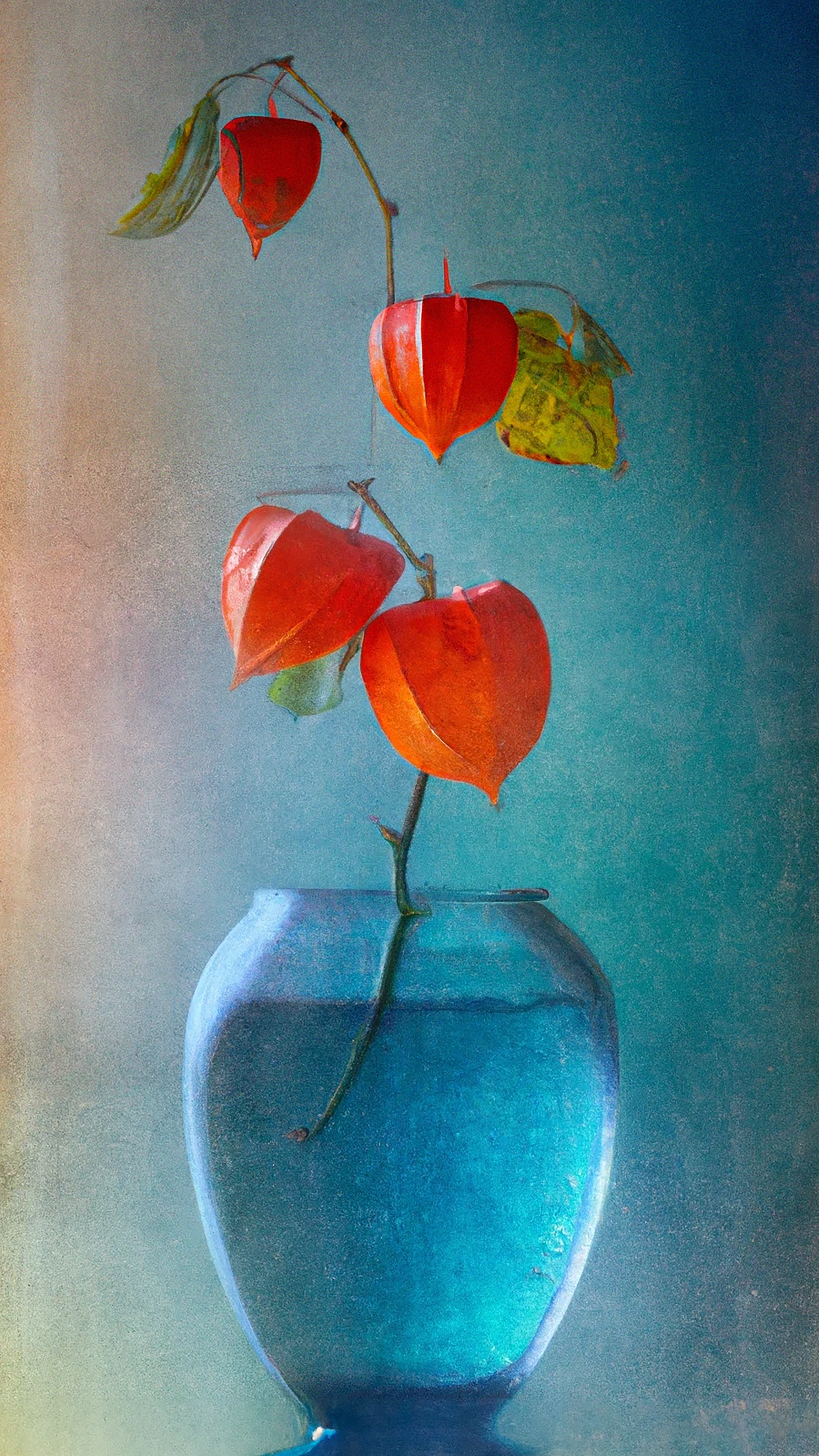 Nature Morte de Fleurs d'Abutilon