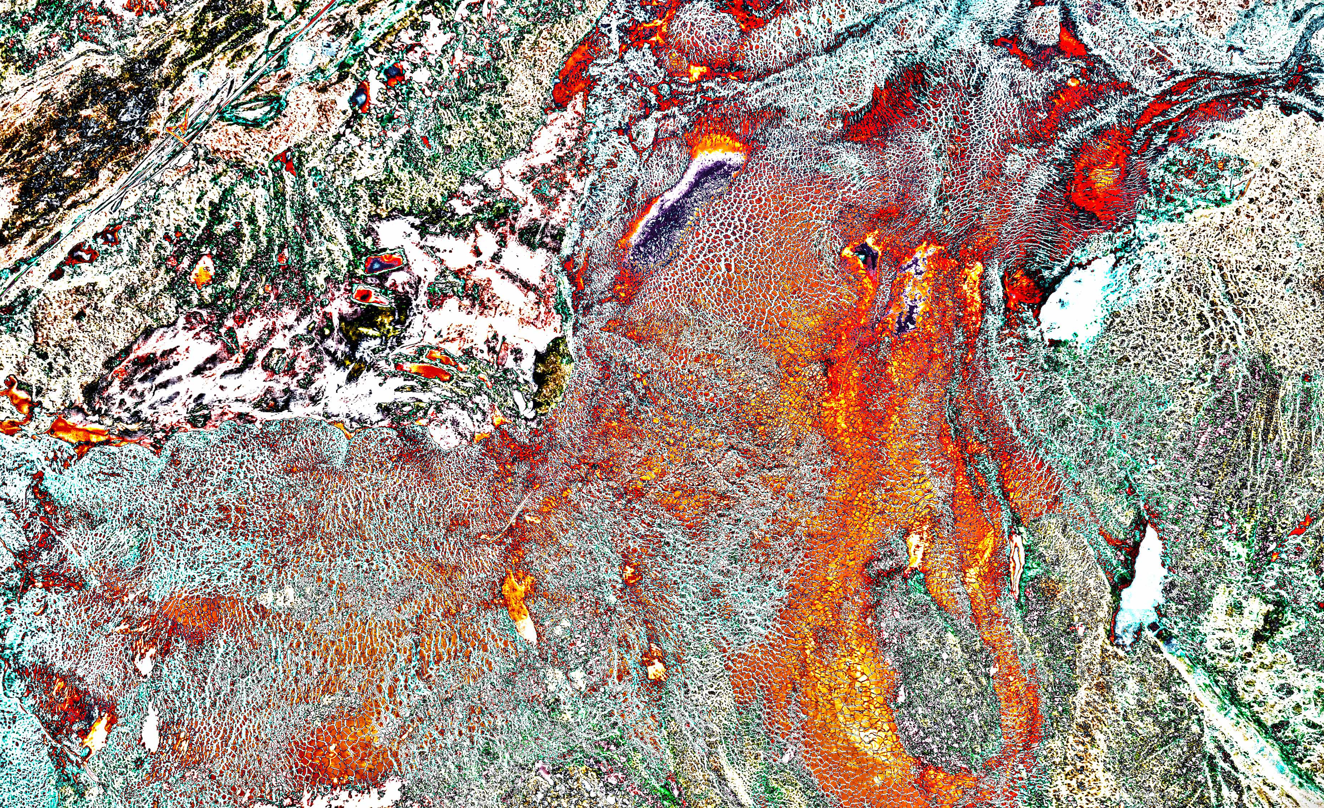 Bleeding Of The Earth : Cremation - Body #10