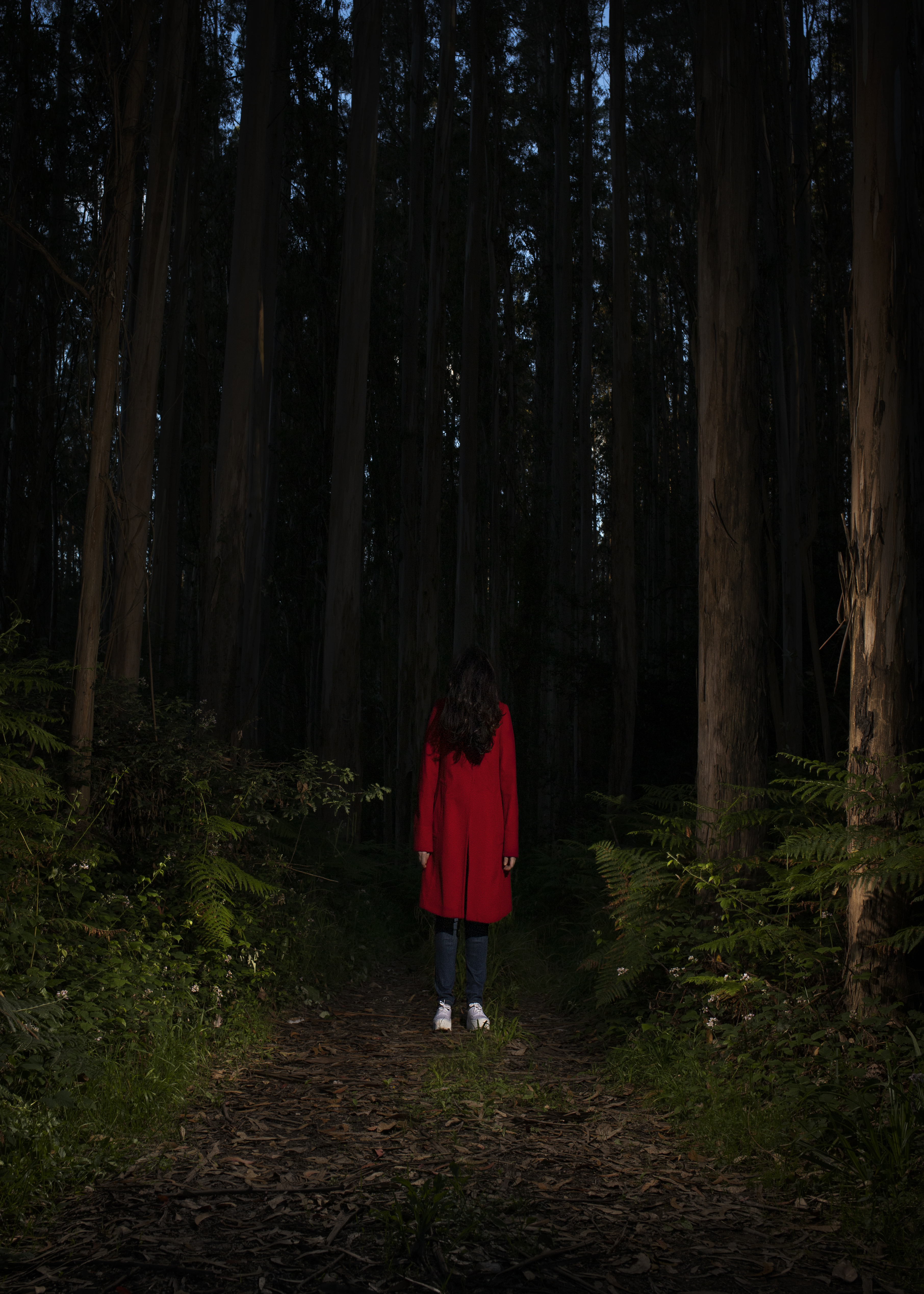 Little Red Riding Hood II