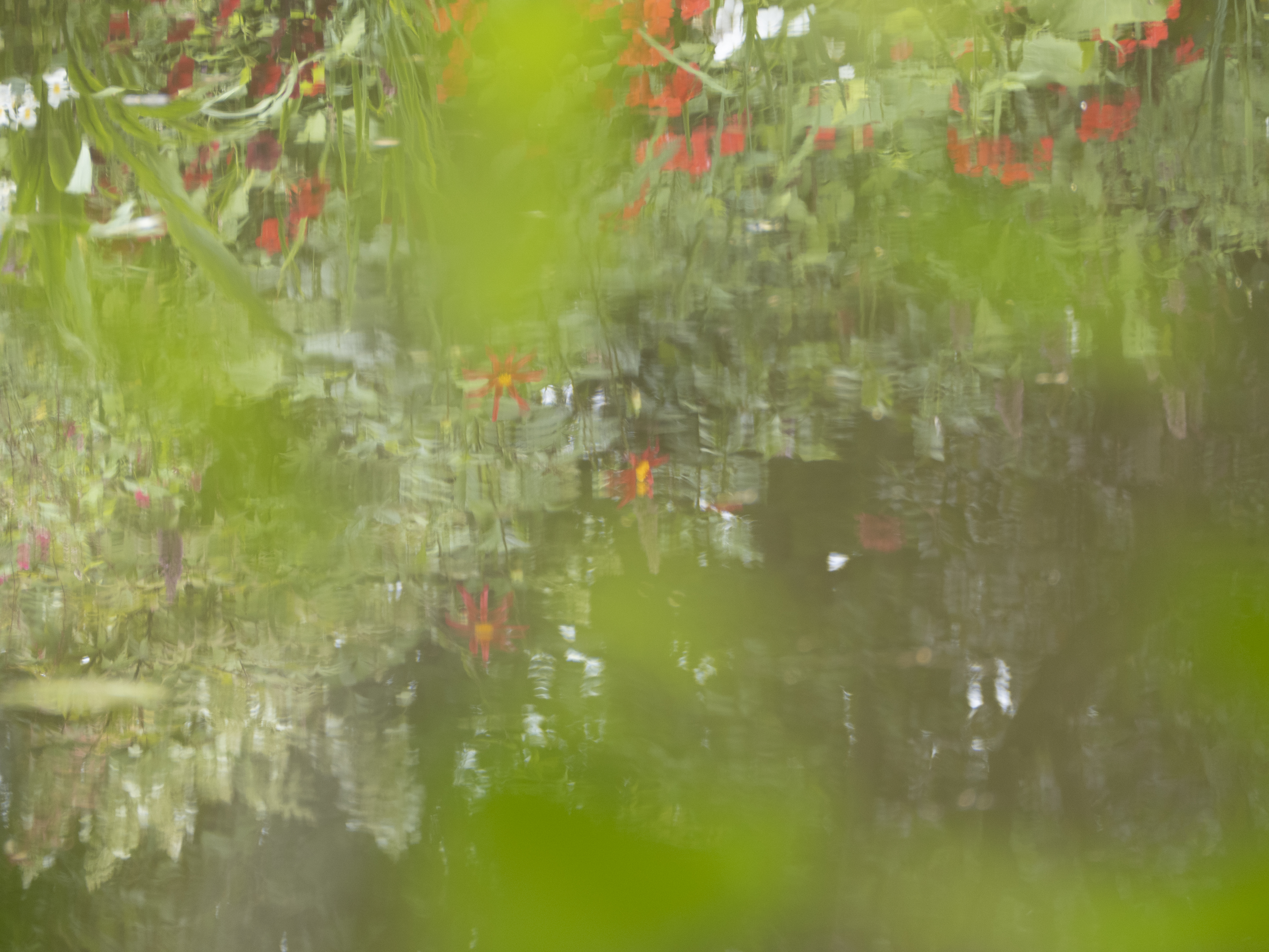 Giverny #21