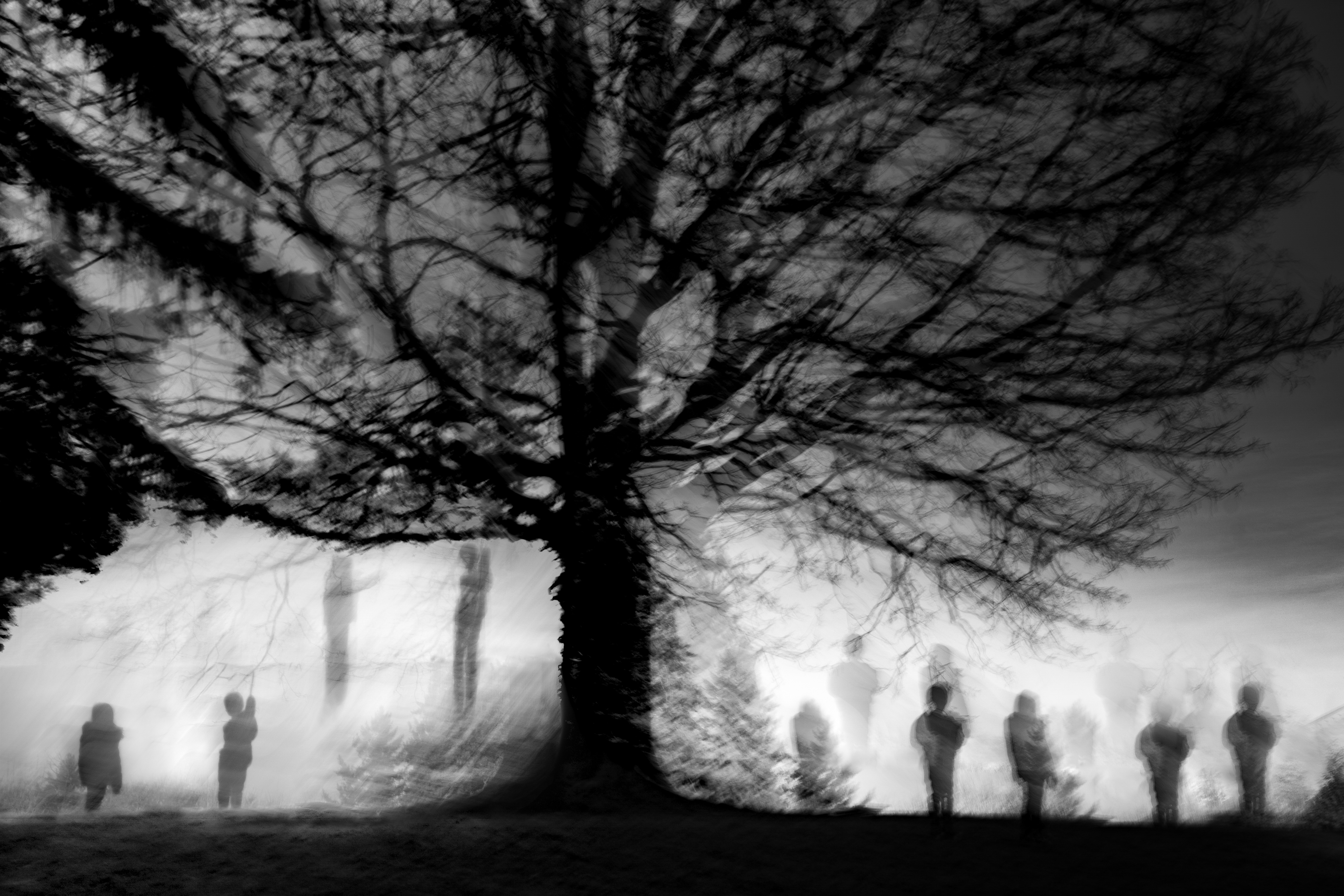 Children Of The Wailing Tree