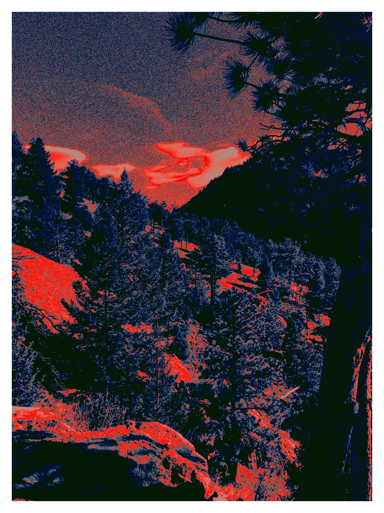 Six Miles Up The Canyon